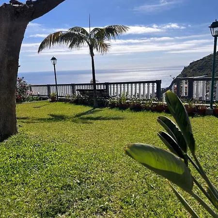 Tropical Garden *