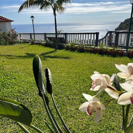 Tropical Garden *