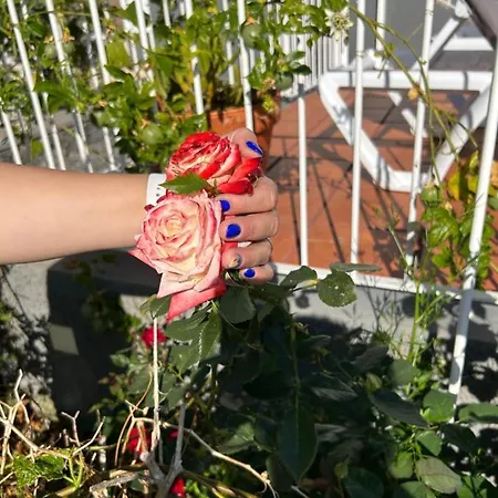 Prázdninový dům Tropical Garden Arco da Calheta (Madeira)
