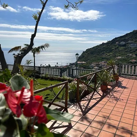 Tatil Evi Tropical Garden *