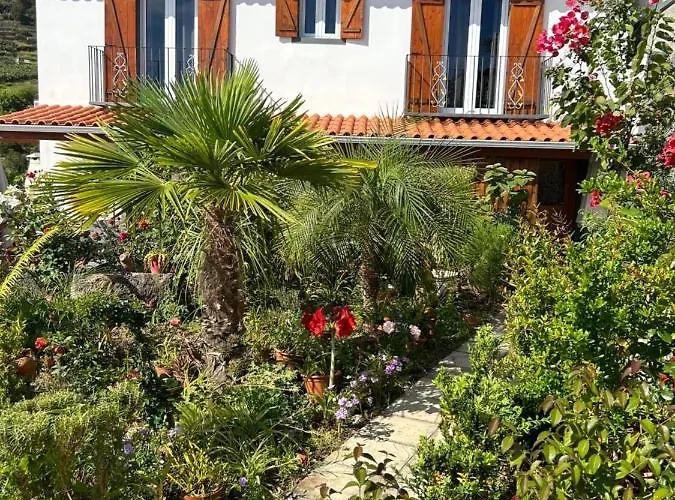Tropical Garden Arco da Calheta (Madeira)